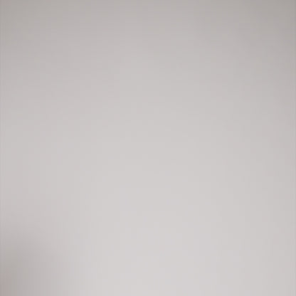 L26056401_RACING-2.0-LADY-036_1-1